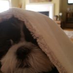 Faye Cochran - @bandit2272010 - Instagram