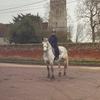 fayecollier123 - @_faye_collier_ - TikTok