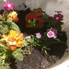 Fayette Combs - @fayette.combs - TikTok