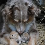 Fay Compton - Facebook