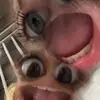 faye anne - @faye.conwayyyy - TikTok