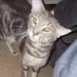 Cooper Fay - @cooper.fay22 - Instagram