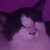 faye_copeland - @faye_copeland - TikTok