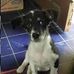 Faye Costa - Facebook