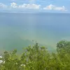 faye cox - @faye.cox307 - TikTok