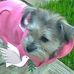Fay Craft - Facebook