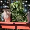 Fay Craig - @fay.craig - TikTok