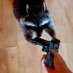 Fay Curtis - @bleh_blah.bleh - Instagram