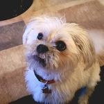 Fay Mikkelsen Decker - @faydecker68 - Instagram