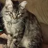 faydempsey4 - @faydempsey4 - TikTok