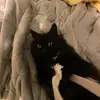 faye__dempsey - @faye_.26 - TikTok
