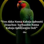 Fayo Hassan Dawod - Facebook