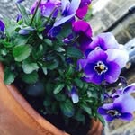 Faye Dickson - @photography.postsx - Instagram