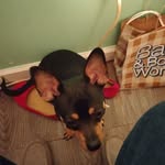 Faye Goode Dodson - @fayedodson47 - Instagram