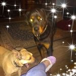 Fay Dye - @faydye62 - Instagram