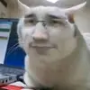 DyerFayer - @dyerfayer - TikTok