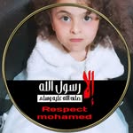 Gehad Fayed - @fayed.gehad - Instagram