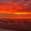 Fayth Engel - @fayth.engel - TikTok