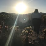 Sage Faye-Everett🌵 - @sagefayeeverett - Instagram
