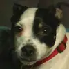 fayfarrington - @fayfarrington - TikTok