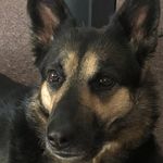 Faye Fletcher - @faye.fletcher.357 - Instagram