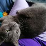 Faye Gallagher - @faye.gallagher.77 - Instagram