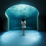Faye Gao - Facebook