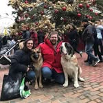 Fay Goodwin - @fayg65 - Instagram