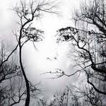 Faye Goodwin - @goodwin_faye - Instagram