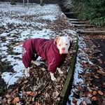 Faye Goodwin - @faye_goodwin - Instagram