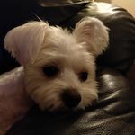 Fay Gordon - @gordon.fay - Instagram