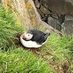 Fay Harris - @fay.s.harris - Instagram