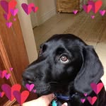 Faye Higgins - @faye.higgins.31 - Instagram