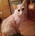 Fay Hill - Facebook