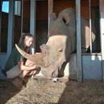 Fay Timbrell-Hill - @fay_th99 - Instagram