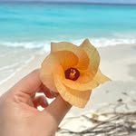Jasmine Fay Hill - @fay_fujifilm - Instagram