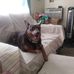 Fay Hoff - Facebook