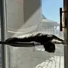 fay_yvonne - @fayhoff - TikTok