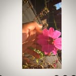 @_fayholder_ - Instagram