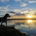Faye Horne - @faye841 - Instagram