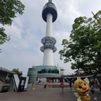 Fay Hsu - Facebook