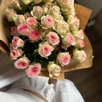@fayhsush - Instagram