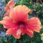 Fay Hunt - @fay.hunt.5205 - Instagram