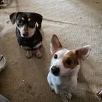 Fay Hunter - Facebook