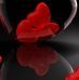 Fay Hurst Fortson - Facebook
