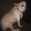 Faye Hyatt - @user9808916665670 - TikTok