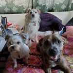 Faye Irvine - @fairvine808 - Instagram