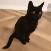 Chris Jansen - @fay.jansen - TikTok