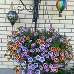 Fay Johnston - @fayrran - Instagram