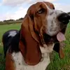 Fay Johnstone - @fay.johnstone7 - TikTok